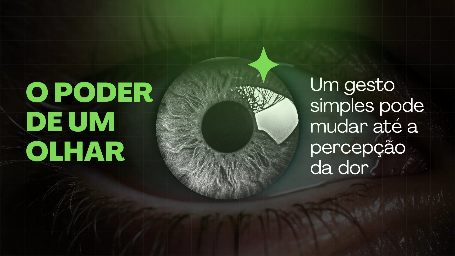 Slide 20 de palestra Showmakers
